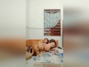 Wild animal sex: canine bestiality XXX