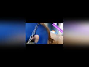 Juli fucks dog hardcore amateur