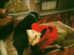 Wild feline orgies : osceno (1987) movie