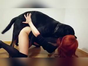 Beast Tube - Tier Porno: She Succumbs to the Beast
