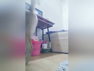 Woman Gets Fucked by Dog Extreme