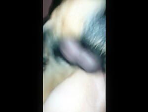 Bestiality: An Intense Experience