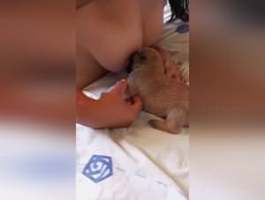 Bestiality taboo - Wife fucking dog on youtube videos