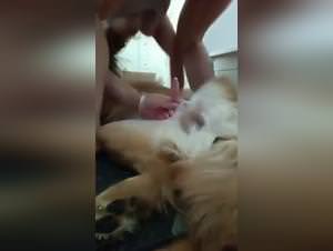 Busty Milf Rides Dog Explicit Video
