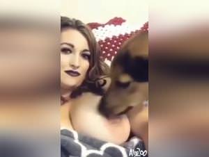Woman Dog Sex Tits