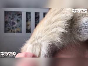 The Art of Zoo: New Beastiality Videos - Dog Fucks