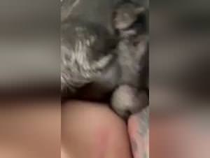 Dog-Gunning Shemale: Extreme Lick Session