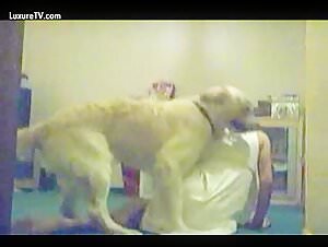 A forbidden love story: woman and her labrador