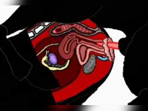 Dog Sex Compilation - Woman, Extreme Taboo