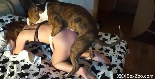 Dog fucks tanned woman hard as fuck in endless positions