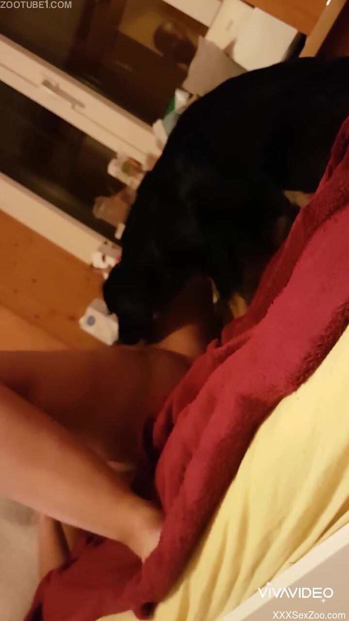 Home alone wife filmed in secret trying dog perversions