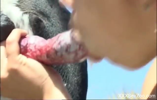 Latina with red hair kissing all over that boner