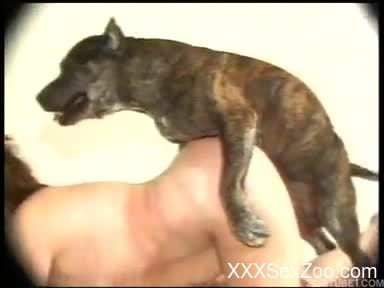 Dog sex in doggy style with a slutty brunette