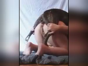 Femefun & Ztube: Bestiality XXX Action