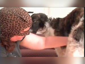 Woman fucks dog, wild sex