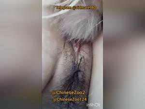Chinese Dog Fuck