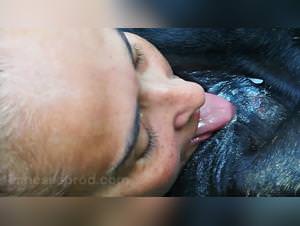 Lesbian cow sex: filthy bestiality scenes