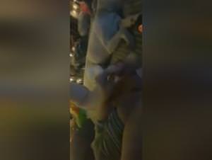 Bestiality Tube: Uncensored Animal Porn