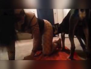 Classic Dog Bitch Sex