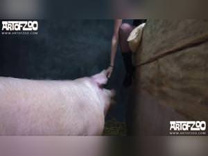 Dirty dog links - Zoofilia dog