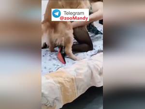 Chinese couple's dog fetish, x-rated pleasure