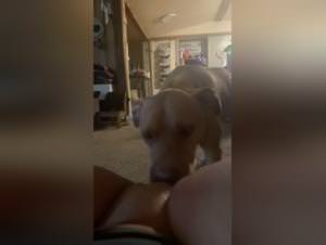 Animal lust, frenzied sessions