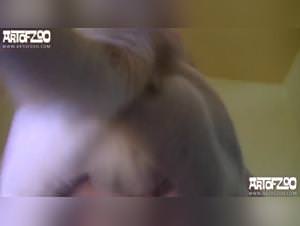 The Slut Who Fucks a Dog: A Story of Wild Passion