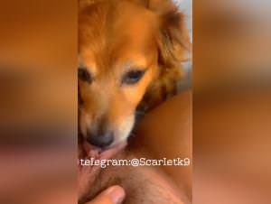 Teenage lust for primal dog licking