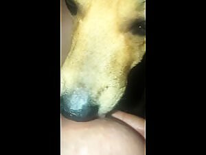 Tick toze fuck bitch dog