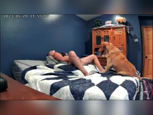 Beastiality TV - Porno dog and beastiality