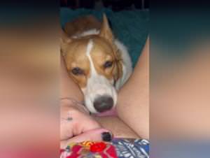 Girl Dog Lick, Extreme Pleasure