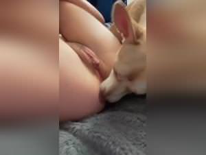 Dog Licking Pussy & Ass