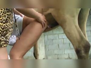 Beastiality XXX : Une pute suce son chien