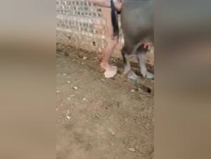 Buffalo Fucking Hardcore