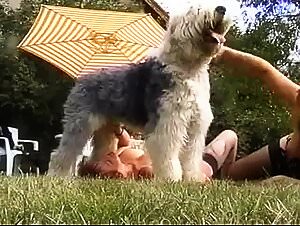 Zoo tube fapzoo bestiality sexy dog porn videos