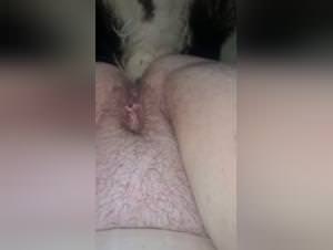 Pornscum : Zoophilia Lovers - Bestiality Tube, Hardcore Sex with Dogs