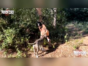 Zoo Flix: Zoo, Zoofilia TV - Animals Fucking with Dirty Dog