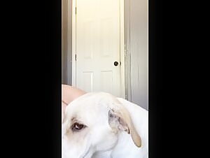 Pregnant Mississippi teenager and her dog