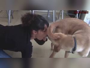 Dog sex wife extreme fantasy