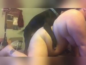 Bestiality zoo animals get horny and fuck humans in hot videos