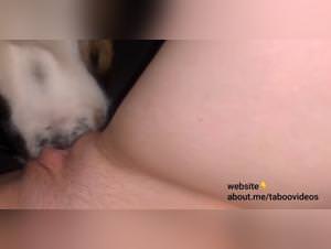 Dog Licked to Orgasm