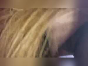 Milly Horse Fuck Spain TDK