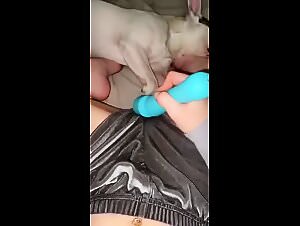 Zoo Art: Girl Fucking Dog, Hardcore Bestiality Videos