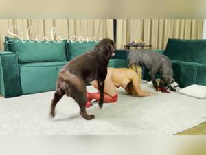 Veronica silesto fucks dog blood