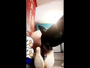 Lesbian porn video with dog