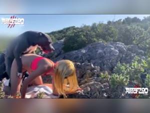 Dog fuck frenzy: extreme bestiality compilation