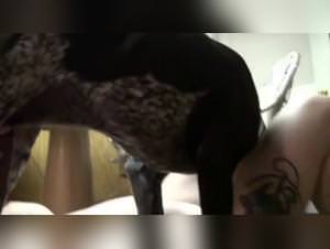 Whore Succs Dog Deep