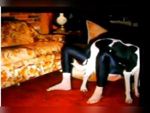 Teen fucked hard by big dog, XXX