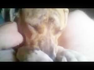 Zoophilia video with a dog and a man