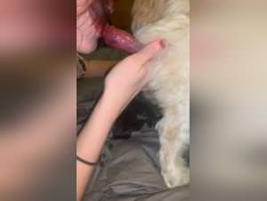 Dog Blows Her, Dirty Bitch - XXX Videos